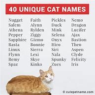Image result for Funny Girl Cat Names