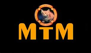 Image result for MTM Monogram