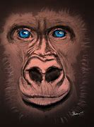 Image result for First Gorilla Blue Eyed