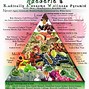 Image result for Define Food Pyramid