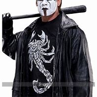 Image result for WWE Sting Costume