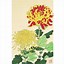 Image result for Japanese Flower Artist