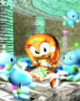 Image result for Sonic the Hedgehog Tikal