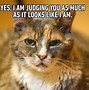 Image result for Cat Makes Sense Meme