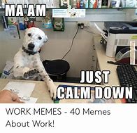 Image result for Calm Down Work Meme