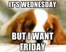 Image result for Happy Wednesday Adult Meme