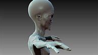 Image result for Alien Humanoid Form