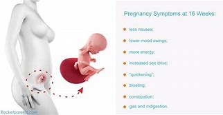 Image result for 16 Weeks Pregnancy Symptoms