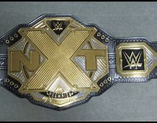 Image result for NXT Championship Belt Replica