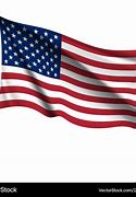 Image result for Us American Flag