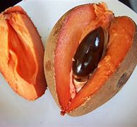 Image result for Mexican Small Orange Fruit