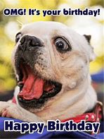 Image result for Funny Animal Birthday Cards