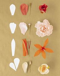 Image result for Crepe Paper Flower Templates