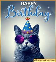Image result for Happy Birthday Cat