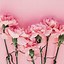 Image result for Phone Case Background Printable for Women
