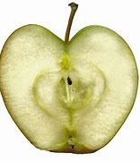 Image result for Apple Slices