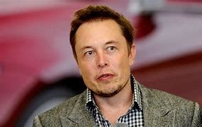 Image result for Tesla CEO Elon Musk