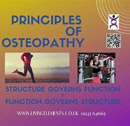 Image result for Allopathic vs Osteopathic