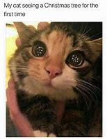 Image result for Unique Funny Animal Memes 2020