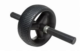 Image result for Ab Roller Wheel for Home Gym