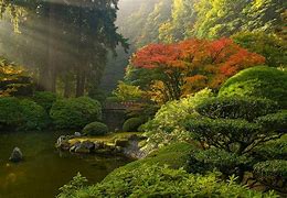 Image result for Japan Landscape