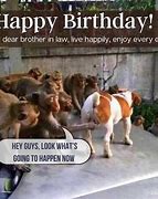 Image result for Birthday Brother in Law Humor