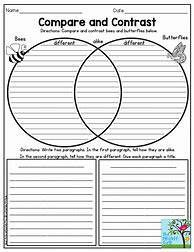 Image result for Compare and Contrast Worksheets 3rd Grade