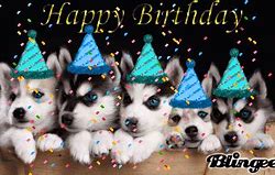 Image result for Siberian Husky Birthday Meme