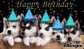 Image result for Happy Birthday with Husky