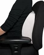 Image result for Mesh Chair Back Support Pillow