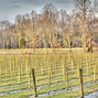 Image result for Tennessee Wineries