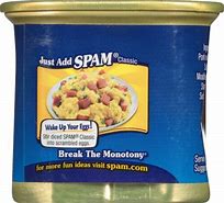 Image result for Spam Canned Meat Small Size