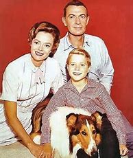 Image result for "Lassie TV Series"