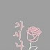 Image result for Pink Grey and White Wallpaper