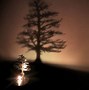 Image result for Natural Elements Shadow Box