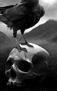 Image result for Skull and Crow Wallpaper