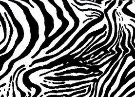 Image result for Sewa Printer Zebra