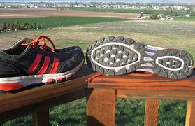 Image result for Adidas Sneaker Floating