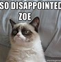 Image result for Disappointed Cat Même