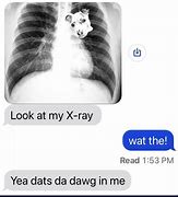 Image result for Dog Xray Meme