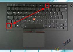 Image result for How to Unlock Keyboard On HP Laptop