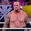 Image result for WWE Superstar Undertaker