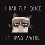 Image result for Funny Cat Meme Wallpaper
