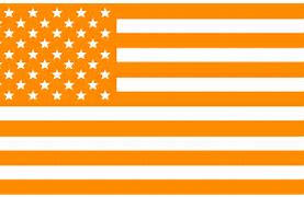 Image result for Sparkly American Flag