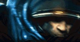 Image result for Starcraft About Damn Time