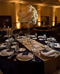 Image result for Champagne and Navy Blue Wedding