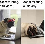 Image result for Zoom Animal Memes