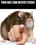 Image result for Rats Point Meme