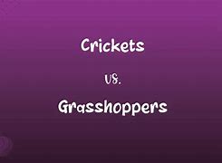 Image result for Crickets Silence