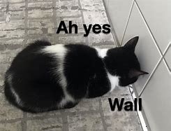 Image result for Smerth Cat Meme